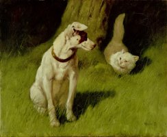 White Persian Cat and Jack Russell by Arthur Heyer