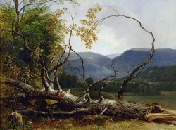 Study from Nature - Stratton Notch by Asher Brown Durand