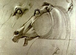 Horse Head Sketch by Benjamin Haydon