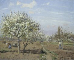 Orchard in Bloom, Louveciennes by Camille Pissarro