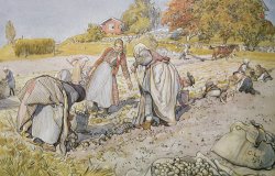 Digging Potatoes by Carl Larsson