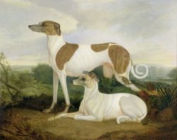 Two Greyhounds in a Landscape by Charles Hancock