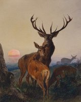 A Stag With Deer In A Wooded Landscape At Sunset by Charles Jones