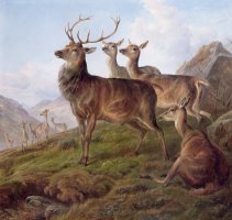 Red Deer in a Highland Landscape by Charles Jones