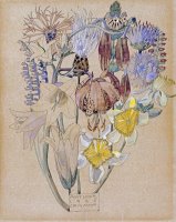 Mont Louis Flower Study by Charles Rennie Mackintosh