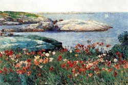 Poppies Isle of Shoals by Childe Hassam