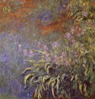 Iris In Pond by Claude Monet