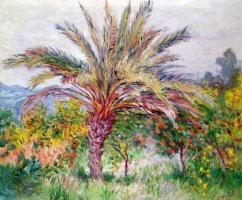 Palm Tree at Bordighera by Claude Monet