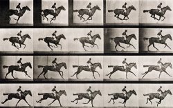 Jockey On A Galloping Horse by Eadweard Muybridge