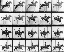 Man And Horse Jumping by Eadweard Muybridge