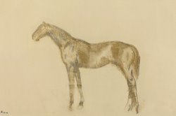 Horse by Edgar Degas