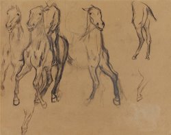 Study of Horses by Edgar Degas