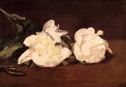 Branch of White Peonies And Secateurs by Edouard Manet