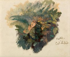 A Study of Ferns, Civitella by Edward Lear