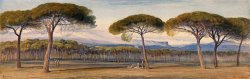 A View of The Pine Woods Above Cannes by Edward Lear