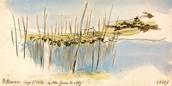 Pettenasco, Lago D'orta, 4 00 Pm, 2 June 1867 (221) by Edward Lear
