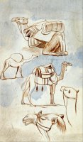 Sketch Studies of Camels by Edward Lear