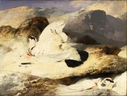 Ptarmigan in a Landscape by Edwin Landseer