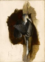 Study of a Dead Heron by Edwin Landseer