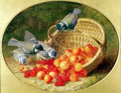 Bluetits Pecking at Cherries 1897 by Eloise Harriet Stannard