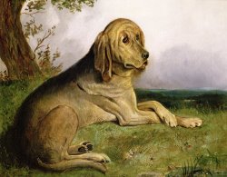 A Bloodhound in a Landscape by English School