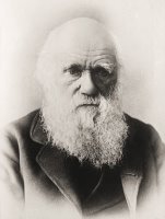 Charles Darwin by English School