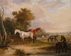 Horses Grazing a Grey Stallion Grazing with Mares in a Meadow by Francis Calcraft Turner