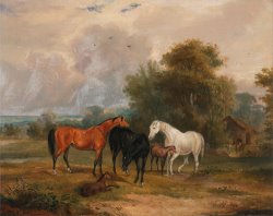 Horses Grazing Mares And Foals in a Field by Francis Calcraft Turner