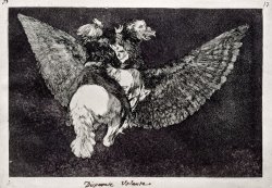 Flying Folly by Francisco De Goya
