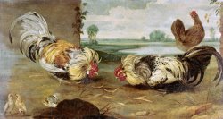 A Cock Fight by Frans Snyders