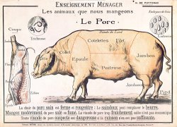 Cuts of Pork by French School
