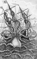 Giant Octopus Illustration From L Histoire Naturelle Generale Et Particuliere Des Mollusques by French School