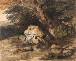 A Woodland Pool with Rocks And Plants by Gainsborough, Thomas