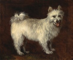 Spitz Dog by Gainsborough, Thomas