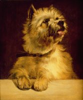 Cairn Terrier by George Earl