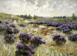 Field of Heather by George Hitchcock