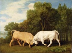 Bulls Fighting by George Stubbs