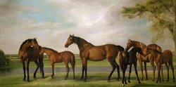 Mares And Foals Disturbed By An Approaching Storm by George Stubbs