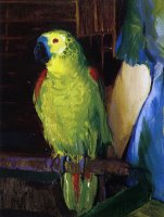Parrot by George Wesley Bellows