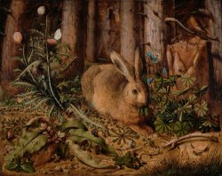 A Hare in The Forest by Hans Hoffmann