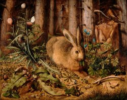 A Hare in The Forest by Hans Hoffmann