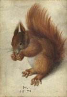 Red Squirrel by Hans Hoffmann