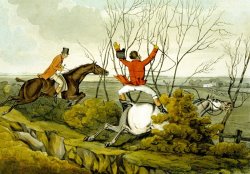 Plunging Through The Hedge From Qualified Horses And Unqualified Riders by Henry Thomas Alken