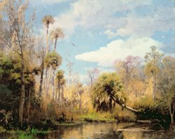Florida Palms by Herman Herzog