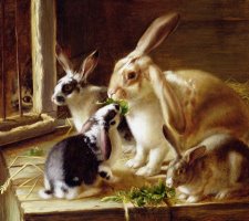 Long-eared Rabbits In A Cage Watched By A Cat by Horatio Henry Couldery