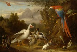 A Macaw, Ducks, Parrots And Other Birds in a Landscape by Jacob Bogdani