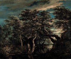 A Marsh in a Forest at Dusk by Jacob Isaacksz. Van Ruisdael
