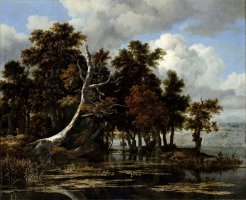 Oaks at a Lake with Water Lilies by Jacob Isaacksz. Van Ruisdael