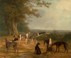 Nine Greyhounds in a Landscape by Jacques-Laurent Agasse