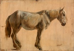 Study of a Grey Horse by Jacques-Laurent Agasse